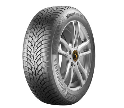 Continental TS870 195/65/R15 91T iarna