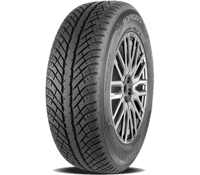 Cooper DISCOVERER WINTER 205/50/R17 93V XL iarna