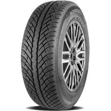 Cooper DISCOVERER WINTER 205/55/R17 95V XL iarna