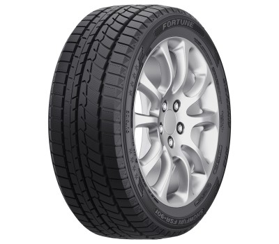 Fortune FSR901 165/60/R14 75T iarna